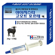 아이지스타 고오트 포르테 액
